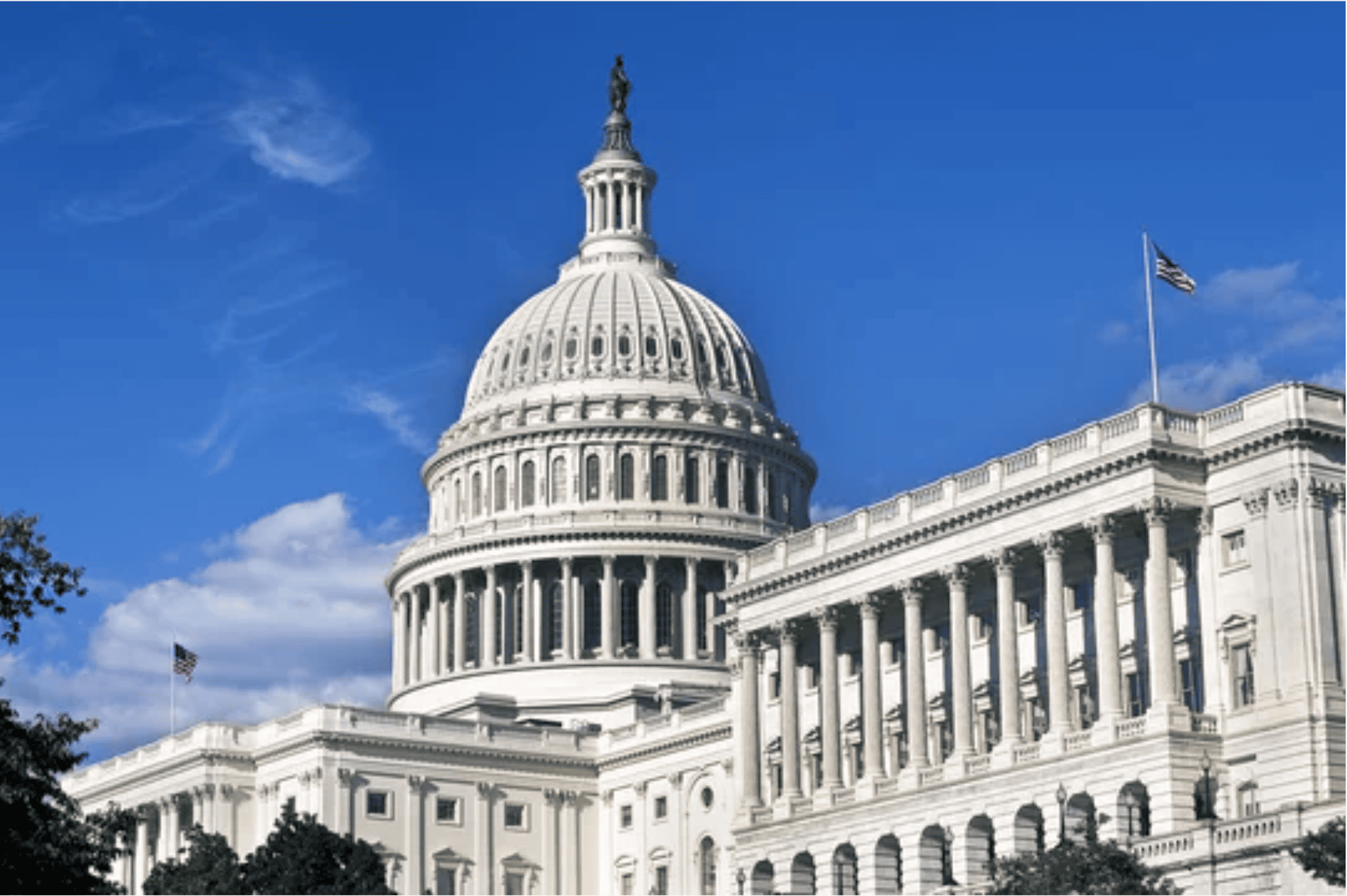 Support with understanding government programs